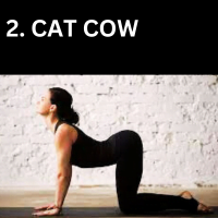 CAT COW POSE
